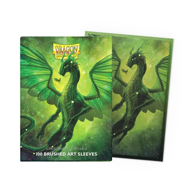 Dragon Shield Sleeves: Standard (100) - Brushed Art